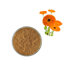 Calendula officinalis flower/Plant extract Lutein